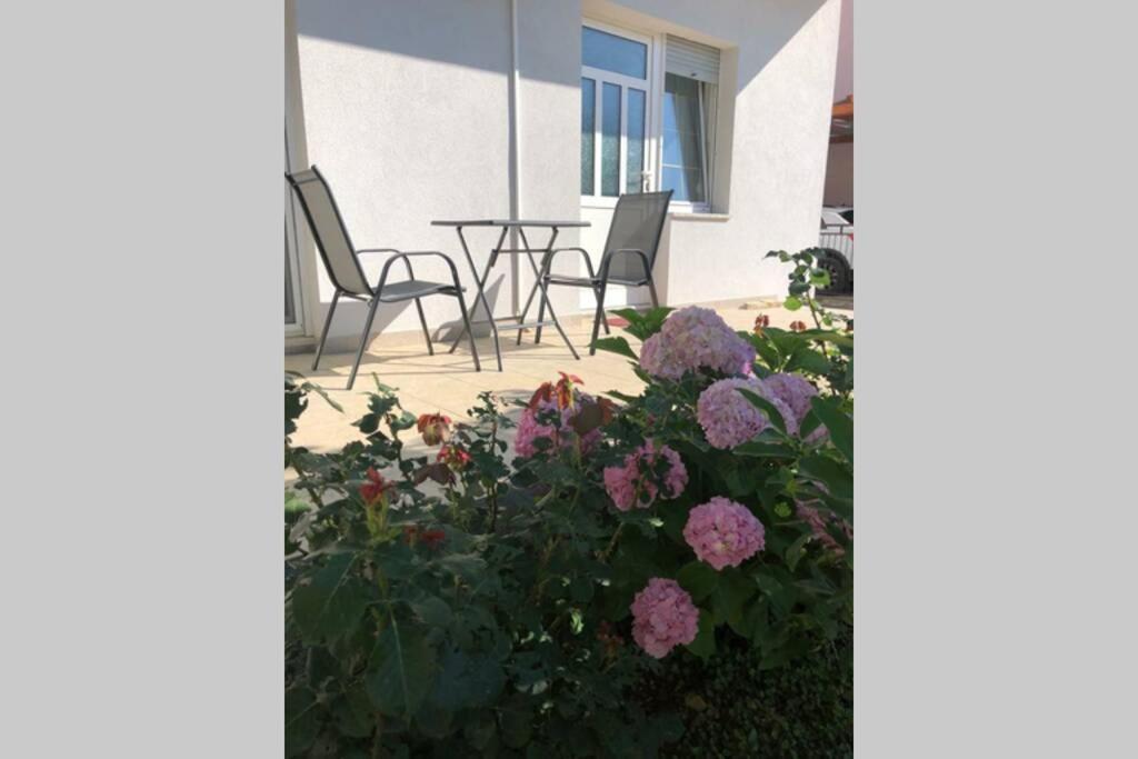 Marin Apartment ซาดาร์ ภายนอก รูปภาพ